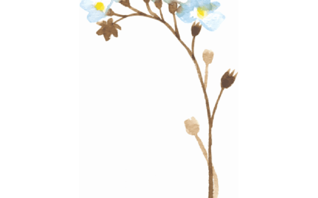 UTSC Campus Curriculum Review – Black Knowledges