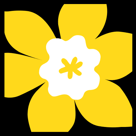 Canadian Cancer Society’s (CCS) Research Training Awards Program